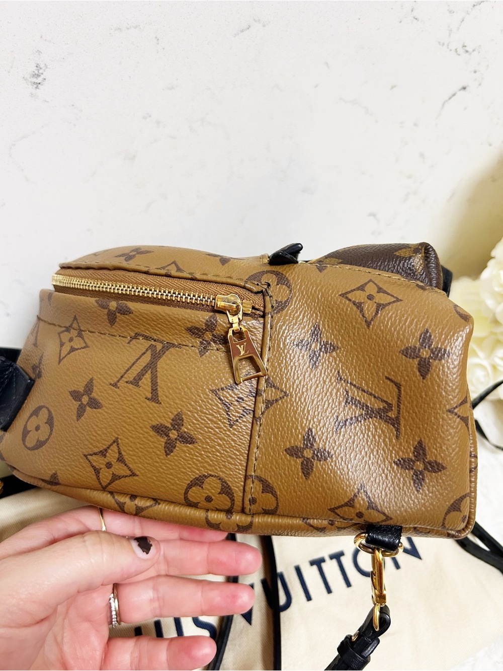 Authentic Louis Vuitton Reverse Monogram Palm Springs Mini Backpack / Bag - Picture 9 of 16